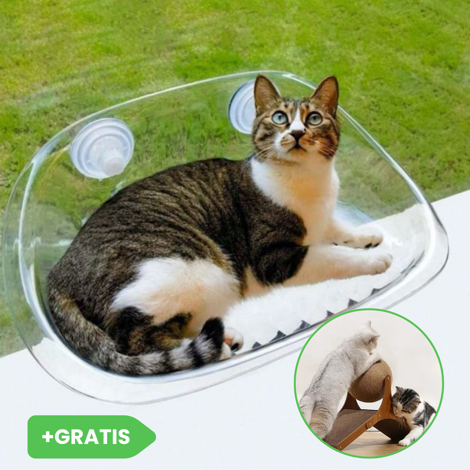 Mačje ležišče za okno CATNEST + vrtljiva mačja žogica JISADER GRATIS